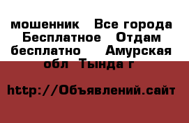 мошенник - Все города Бесплатное » Отдам бесплатно   . Амурская обл.,Тында г.